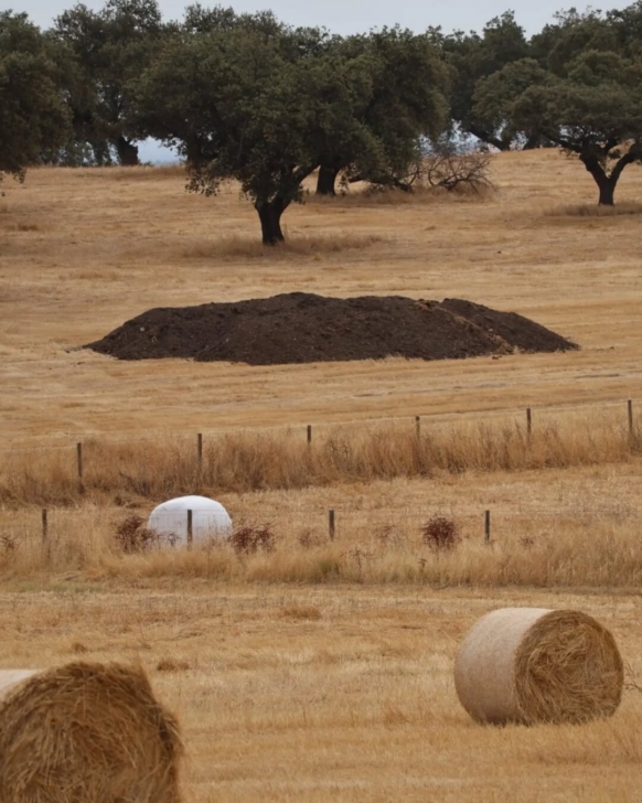 O Papel da Compostagem