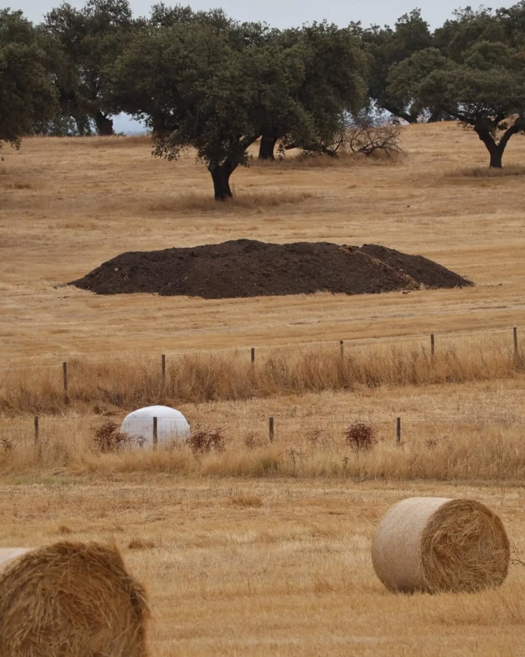 O Papel da Compostagem